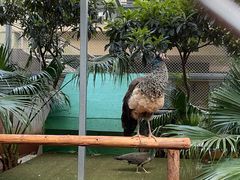 -昆明洲际酒店