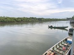 -东寨港红树林旅游区