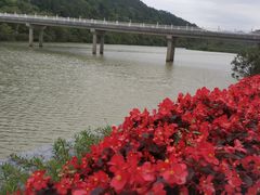 -碧水湾温泉