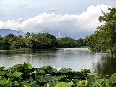 -江心屿景区
