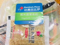 -达美乐比萨(国瑞北路店)