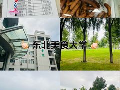 -东北农业大学