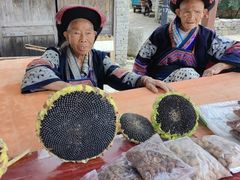 -高荡千年布依古寨旅游景区