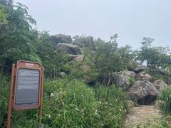 -浮槎山