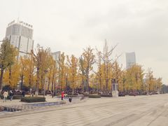 环境-百林公园-两江幸福广场