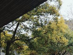 -鼓楼(西湖风景名胜区)