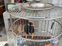 -逸桂禾面馆