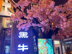 -金九姬黑牛烤肉料理(杨舍老街店)