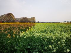 -中国天府农业博览园