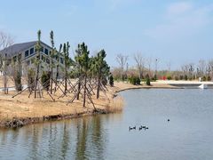 -盐城丹顶鹤湿地生态旅游区