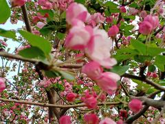 -元大都城垣遗址公园