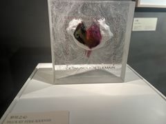 -上海琉璃艺术博物馆