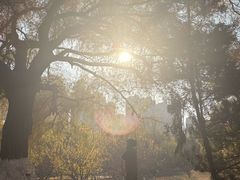 -长白岛森林公园