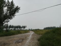 -汉长安城未央宫国家考古遗址公园