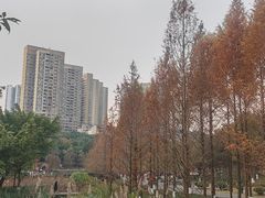 -沐仙湖湿地公园