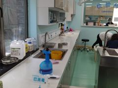 -北京观赏动物医院·24小时大型综合·猫专科·异宠专科