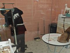 -FAELING PETS美天灵宠物(合生汇店)