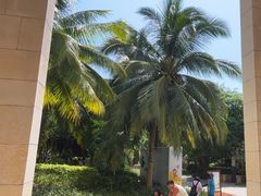 -三亚海棠湾喜来登度假酒店