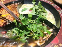 -老房老舍重庆火锅(假日城市店)