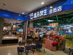 门面-盒马鲜生(宝地店)