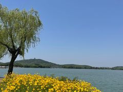 -渤公岛生态公园