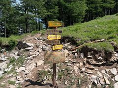 -迪卡侬(土桥店)