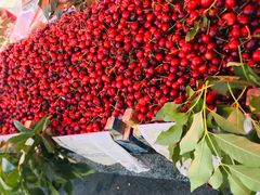 -三旗百汇商品城