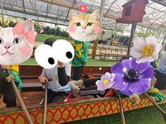 -广州市流溪河国家森林公园