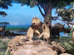 -国家自然博物馆