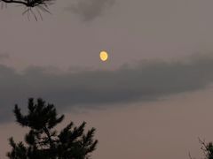 -红山国家森林公园