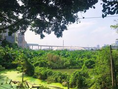 -黄埔古港