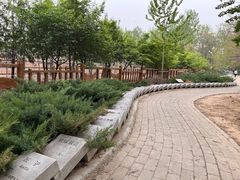 -北京麋鹿生态实验中心