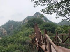 -大岭沟猕猴桃谷风景区