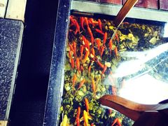 -颐和•海鲜砂锅粥•啫啫煲(奥林匹克广场店)