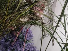 -九寸花汀烤肉海鲜自助(宽城万达店)