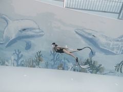 -青鱼湾水上乐园