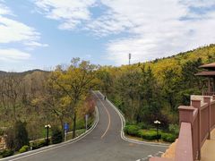 -棒棰岛宾馆景区