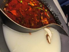 -新辣道鱼火锅(西直门店)