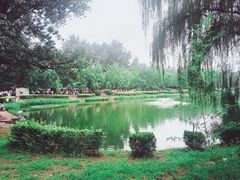 -中卫御苑福膳·养生局(圆明园店)