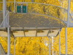 -西北湖绿化广场