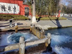 -百脉泉景区