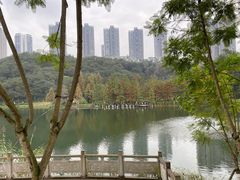 -重庆彩云湖湿地公园