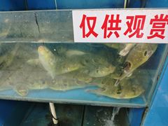 -永安鱼庄·镇江菜(丁卯店)