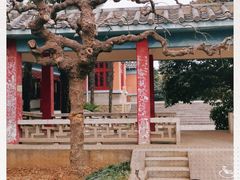 -洛阳古墓博物馆