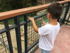 -大连森林动物园