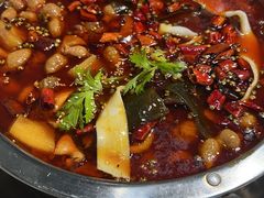 -晓彭肥肠鸡·泡椒鸡火锅(水木天地店)