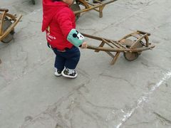 -紫颐香薰山谷景区