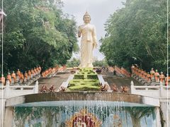 -西双版纳勐泐文化旅游区