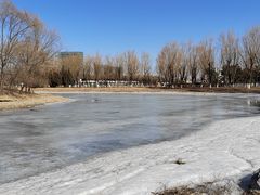 -大兴滨河森林公园