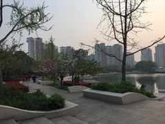 -新江湾城公园